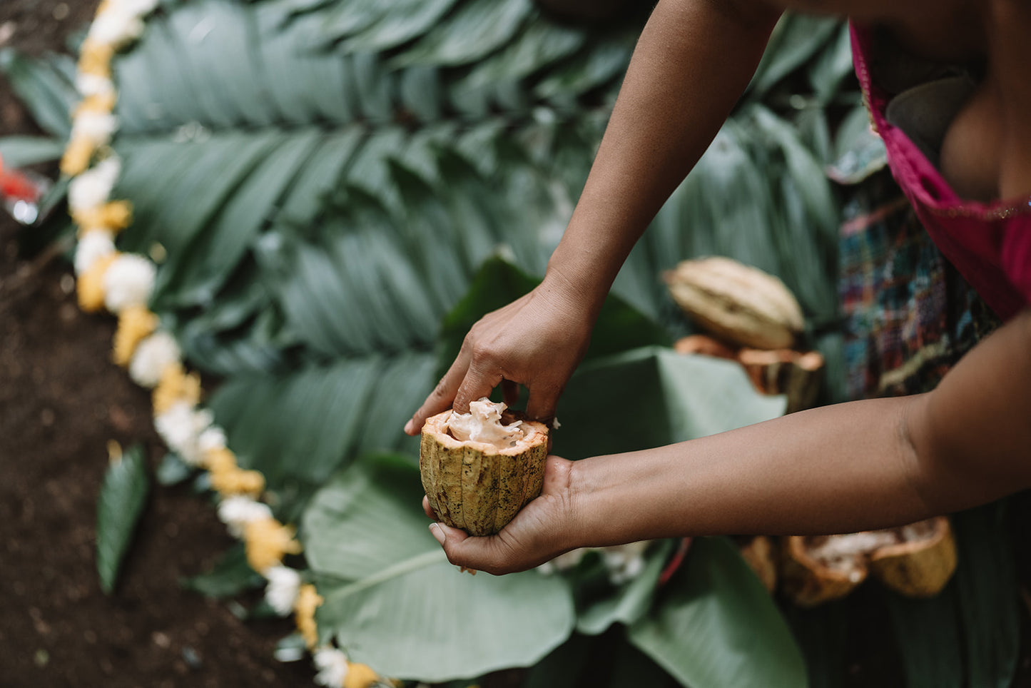 Primal Ceremonial Cacao Powder