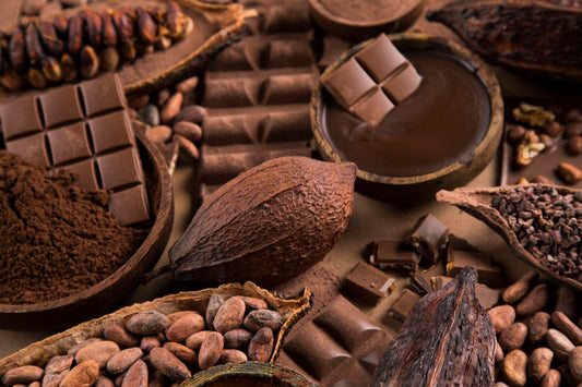 Cacao vs Cocoa Powder: Health Benefits Explained  | Primal Cacao. Learn the key differences between cacao and cocoa powder, their health benefits, and why cacao reigns supreme for nutrition and flavor. Try Primal Cacao today!  