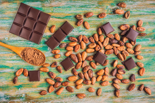 Learn the Difference Between Cocoa and Cacao Powder. Understand the difference between cocoa and cacao powder. Discover how their origins, processing, and benefits impact your health. Read on to get the details. 