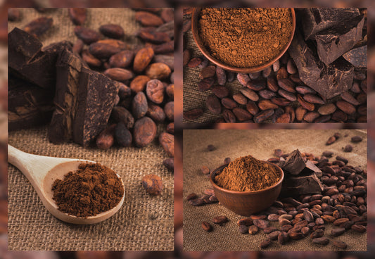 Find High-Quality Cacao Powder Near Me | Primal Cacao. Looking for cacao powder near me? Discover high-quality cacao, its benefits, and tips for choosing the best products from trusted suppliers like Primal Cacao.  
